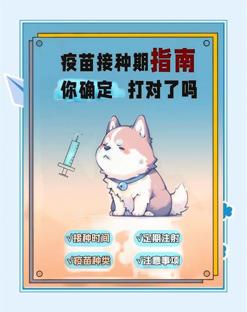 宠物驱虫