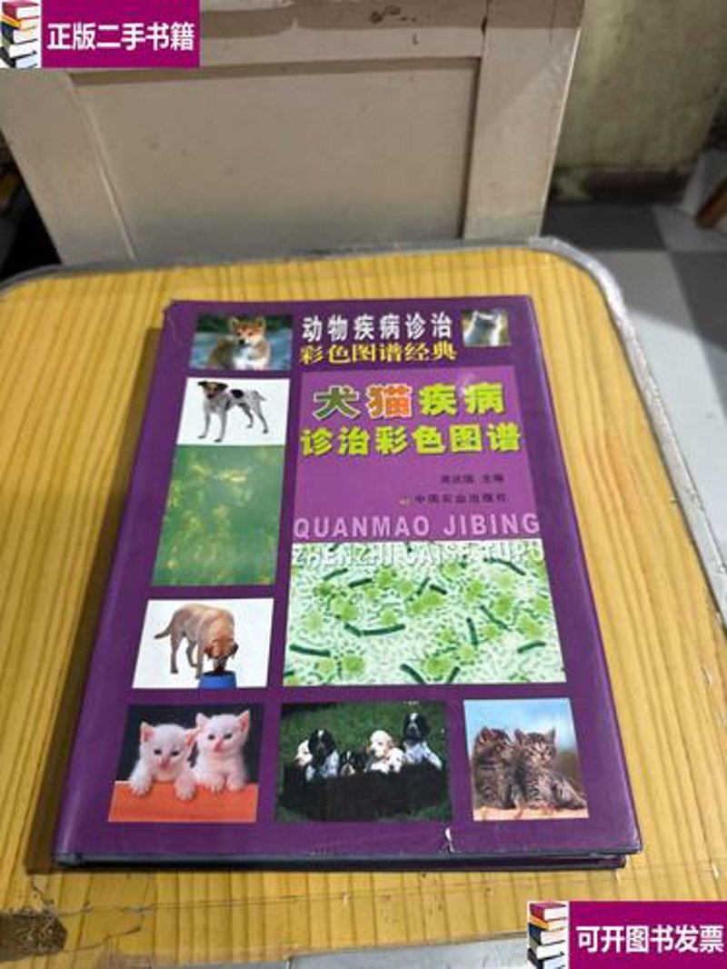 宠物健康的新趋势：从自我照料到专业诊疗